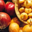 Анонимный серфинг с Tor Анонимный серфинг с Tor