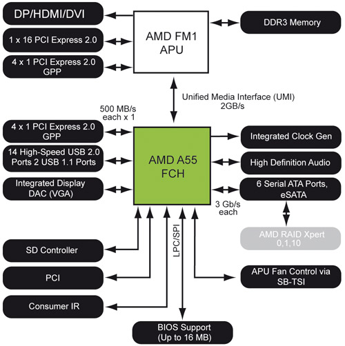 AMD55