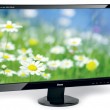 iiyama ProLite X2472HD. Пространство для созерцания